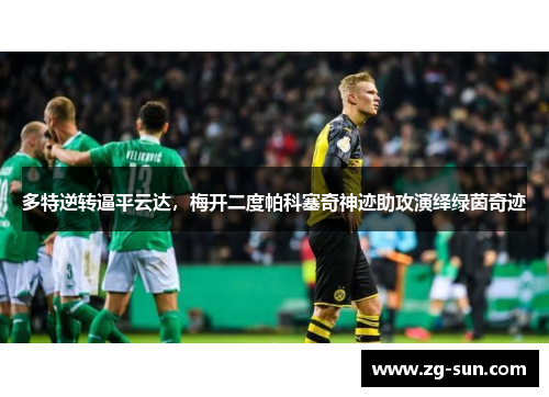 多特逆转逼平云达，梅开二度帕科塞奇神迹助攻演绎绿茵奇迹